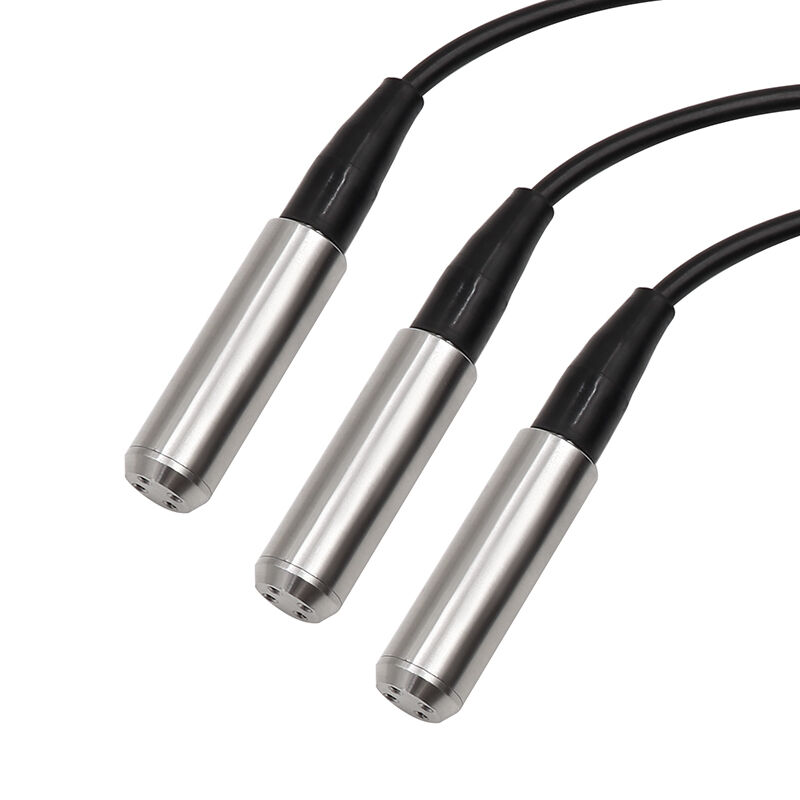 WNK 4~20mA 0-10V RS485 강과 호수의 스테인리스 스틸 물 탱크 레벨 센서